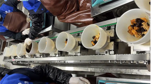 預制菜加工設備流水線用輸送鏈條